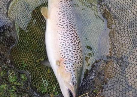 Dave McKenna landed this cracking brownie from Long Crag