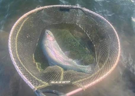 Gary Knox landed this cracking Rainbow from Long Crag lake, estimated at around 10lb