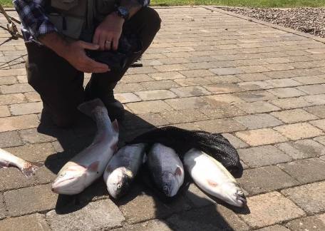 Jim Calvin with a nice bag of fish, best fish at 5lb 1oz