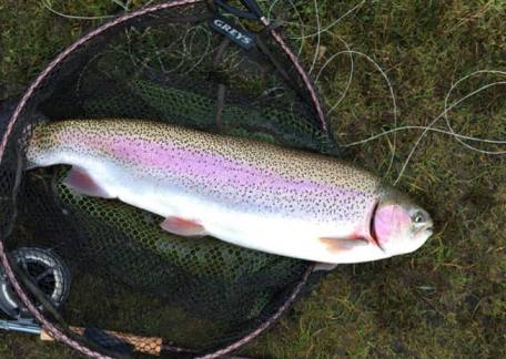James Carr landed this cracking resident Rainbow, weighed in the net at 10lb 9oz
