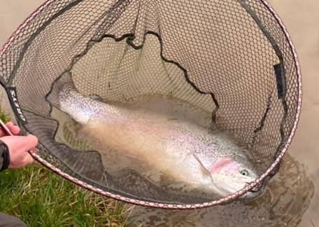 Matty Devine with a 13lb Rainbow