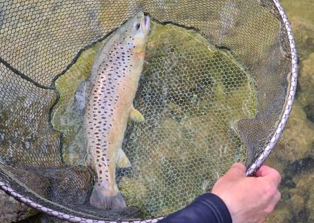 Nathan Bryant landed a nice 4lb Brownie from Long Crag lake 