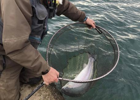 A cracking blue for matty Devine from Coe Crag